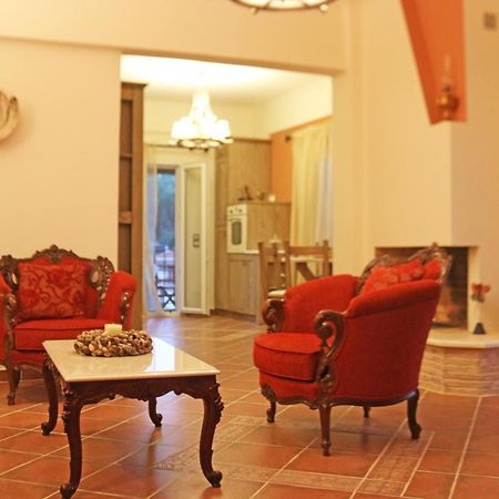 Villa Konstantina Petrití المظهر الخارجي الصورة