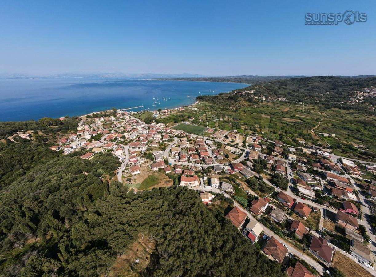 Villa Konstantina Petrití المظهر الخارجي الصورة
